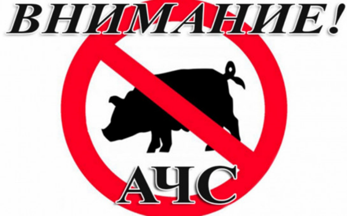 О возникновении АЧС в Кемеровской области. О возникновении АЧС в Кемеровской области.